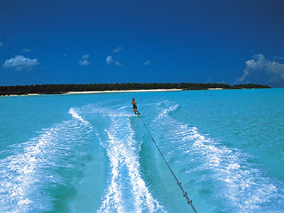 jump-to-marine-activity-modal